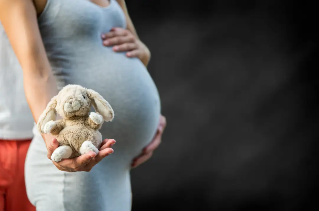 Gebelikte Fetal DNA Testi Nedir gönderisinin resmi.